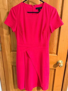 Banana Republic Hot Pink Short-Sleeve Sheath Dress
